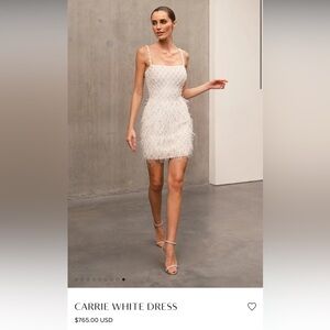 Nadine Merabi Large Carrie Dress